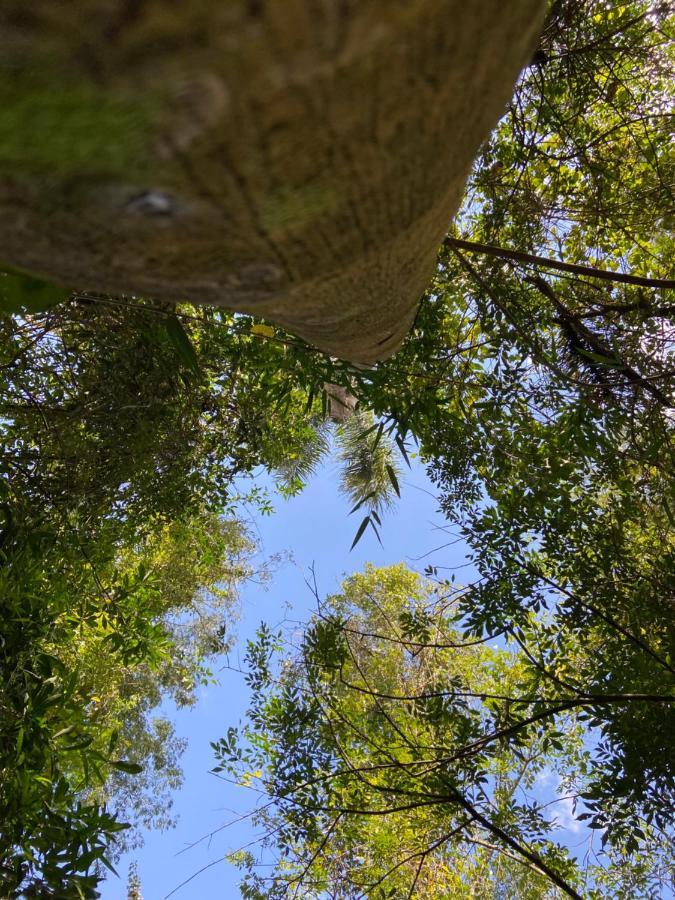 Sitio Metropole - Refugio Na Natureza بيراجو المظهر الخارجي الصورة